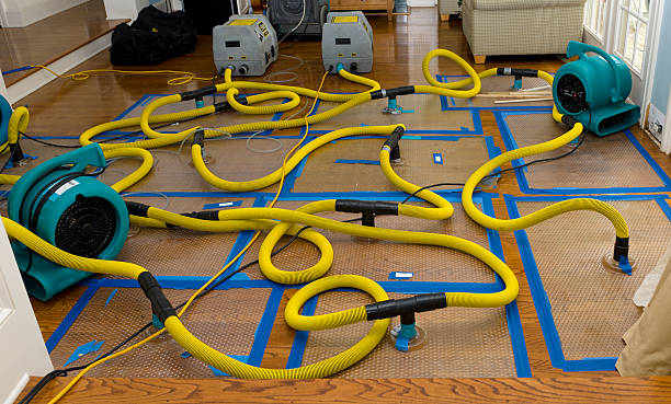 Professional Crawl Space Water Removal technician working in Panna Maria, TX